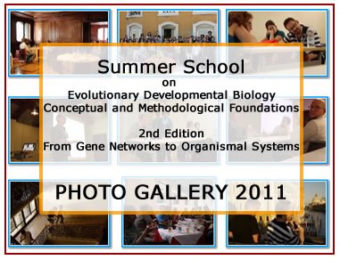 PHOTO GALLERY 2011