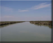 Lagoon environments