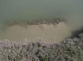 Breakdown in a saltmarsh due to motion wave