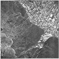 IGMI1955_316